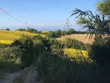 8. Omgeving Vejer