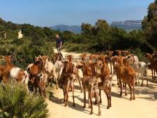 2. Wandeling dag 6