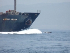 Whale watching bij Tarifa
