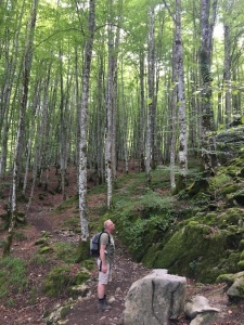 Willem in de Selva de Irati